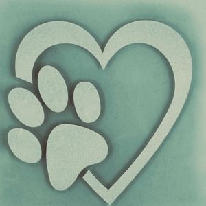 Meet your Posher, Lorrie